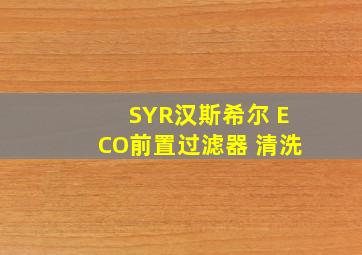 SYR汉斯希尔 ECO前置过滤器 清洗